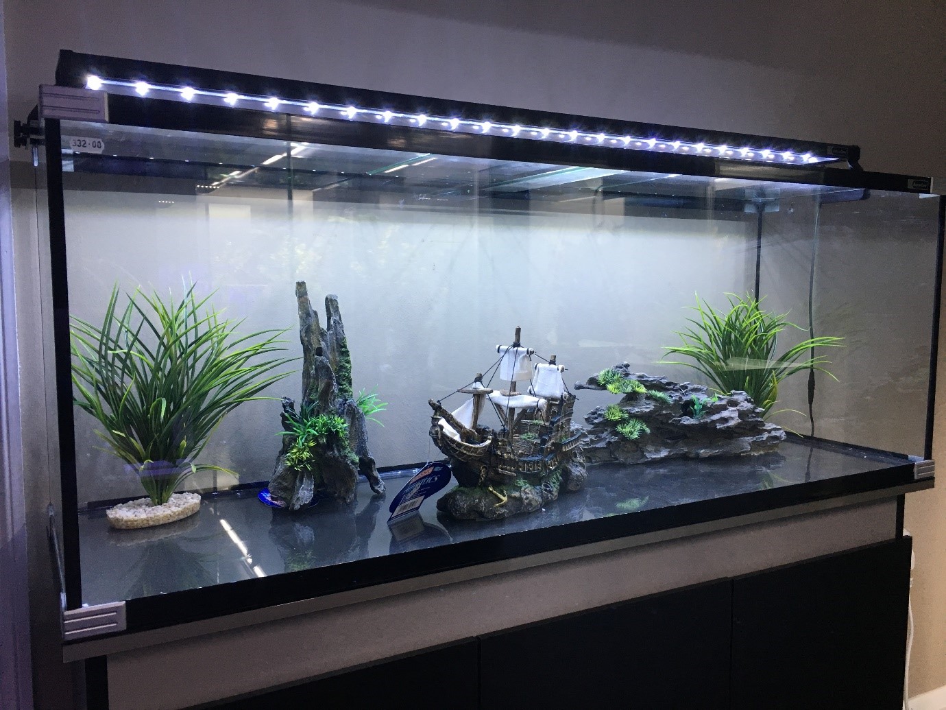 Aquariums, the new interior decor? 