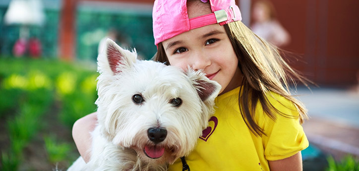 Keep Your Dog Happy and Healthy With Products and Services From an Online Pet Shop