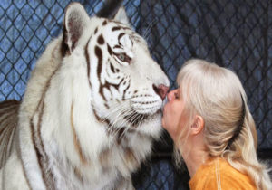 Essential Facts about the Care of Exotic Animals