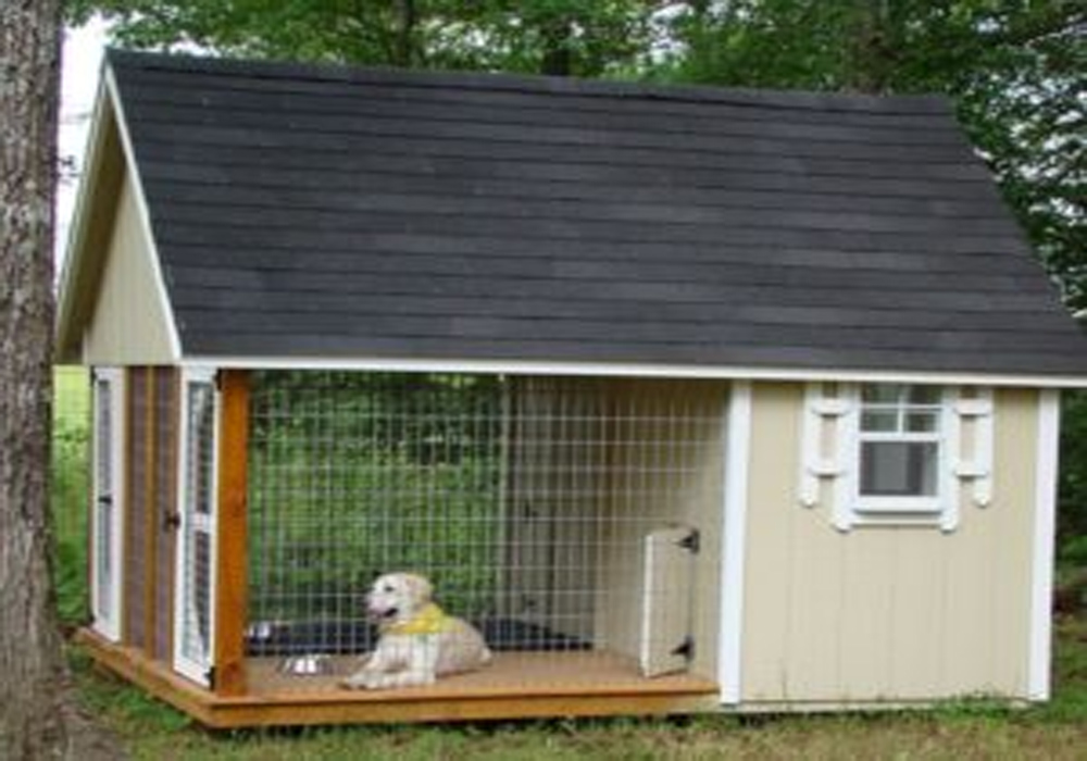 Pet Cages – A Vital Requirement to ensure Safety
