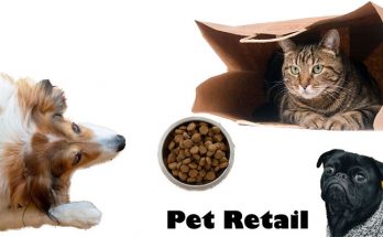 Pet Retailers - How To Be A Successful Animal Retailer