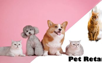 Why Use a web-based Pet Retailer?