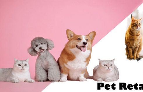 Why Use a web-based Pet Retailer?