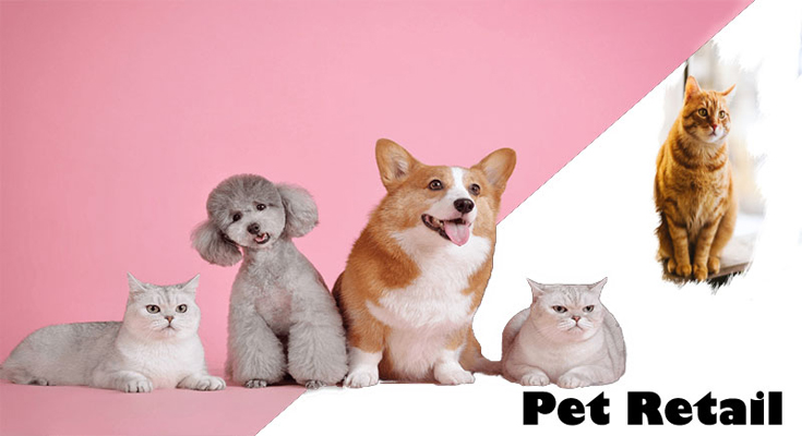 Why Use a web-based Pet Retailer?