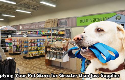 Applying Your Pet Store for Greater than Just Supplies