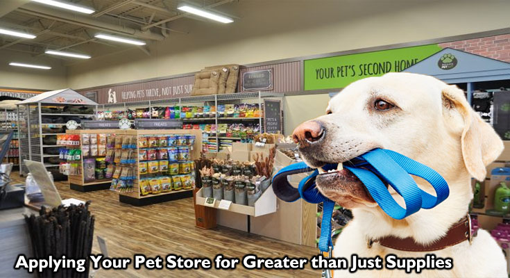 Applying Your Pet Store for Greater than Just Supplies