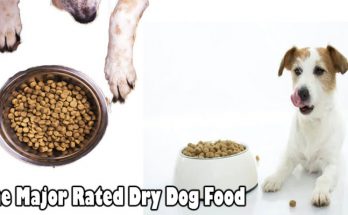 The Major Rated Dry Dog Food: Upon Closer Inspection