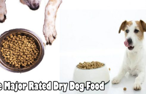 The Major Rated Dry Dog Food: Upon Closer Inspection