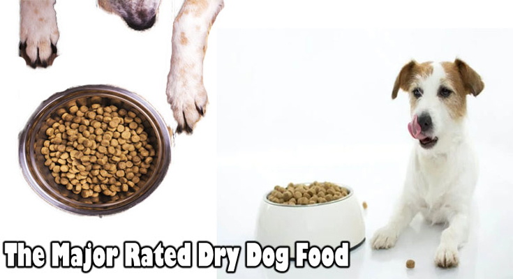 The Major Rated Dry Dog Food: Upon Closer Inspection