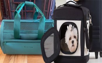 Airline Approved Pet Carriers For Travel