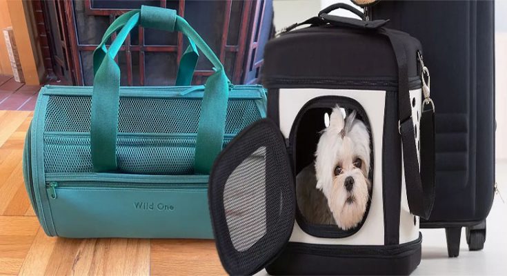 Airline Approved Pet Carriers For Travel