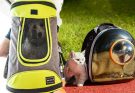 Buying a Pet Carrier Backpack