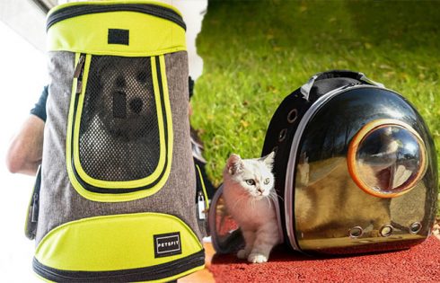 Buying a Pet Carrier Backpack