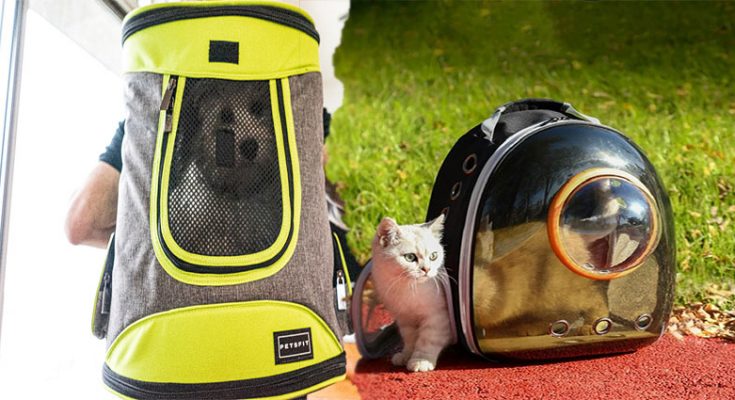 Buying a Pet Carrier Backpack