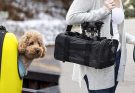 Choosing a Pet Carrier Bag