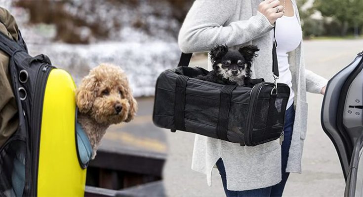Choosing a Pet Carrier Bag