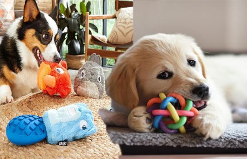 Cute Dog Toys For Your Dog