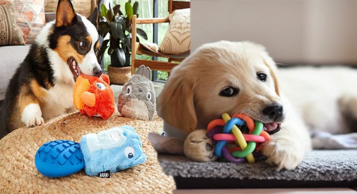 Cute Dog Toys For Your Dog