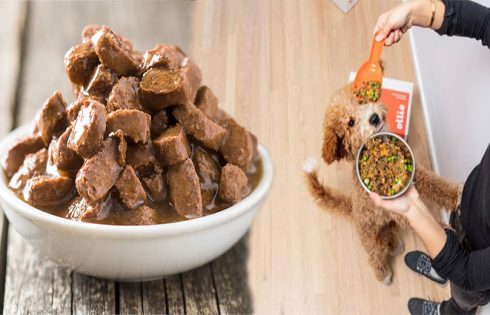 How to Evaluate the Quality of Wet Dog Food