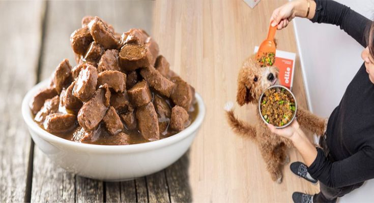 How to Evaluate the Quality of Wet Dog Food