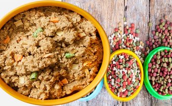 Types of Dog Food