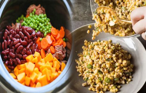 Homemade Dog Food Recipes Rich in Fiber for Better Digestion
