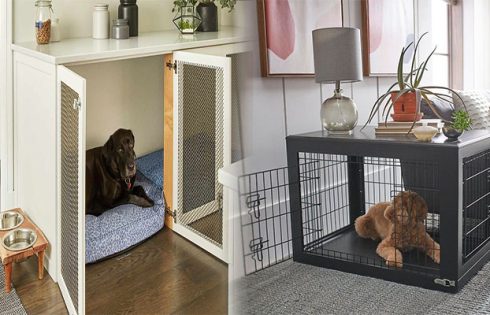 Stylish Dog Crate Furniture that Doubles as Home Decor