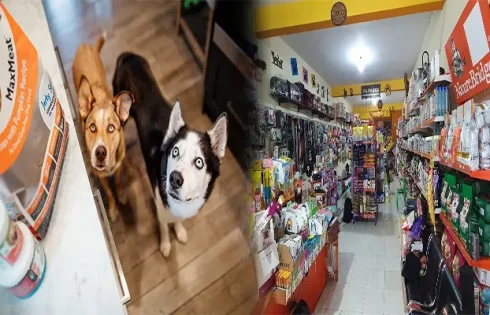 Affordable Pet Stores with Free Delivery Near You