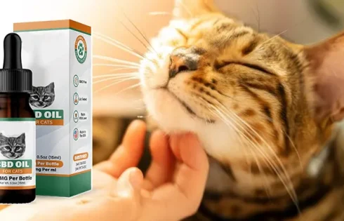 Benefits, Safety, and How to Choose the Right Product for Your Feline Friend