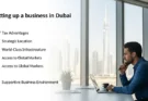 What are benefits of business setup in Dubai?